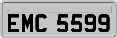 EMC5599