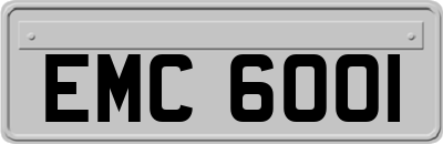 EMC6001