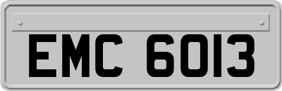 EMC6013