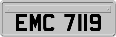 EMC7119