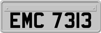 EMC7313