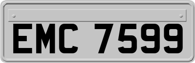 EMC7599