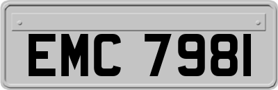 EMC7981