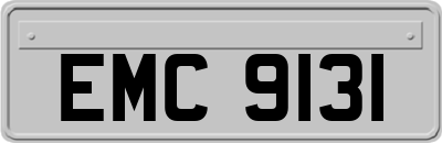 EMC9131