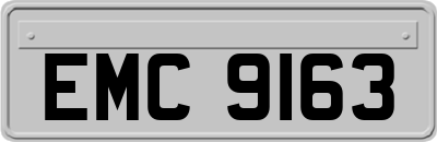 EMC9163