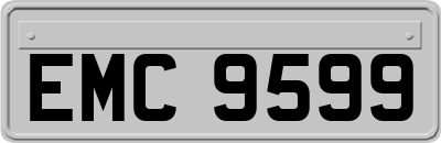 EMC9599