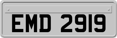 EMD2919