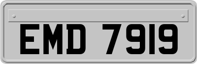 EMD7919