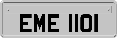 EME1101