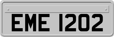 EME1202