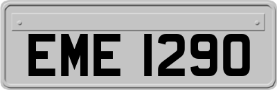 EME1290