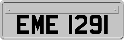 EME1291