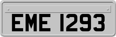 EME1293