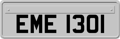 EME1301
