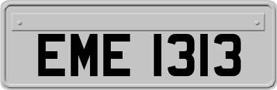 EME1313