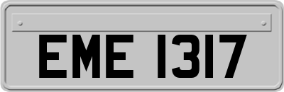 EME1317