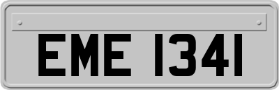 EME1341