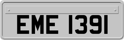EME1391