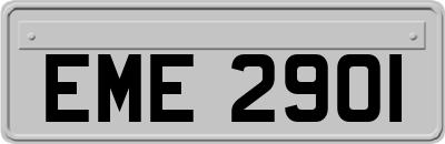 EME2901