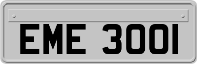 EME3001