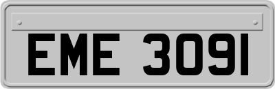 EME3091
