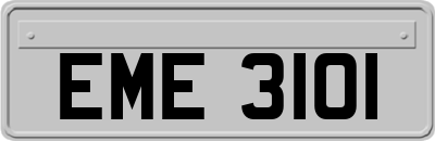 EME3101