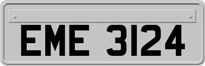EME3124