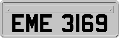 EME3169