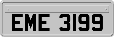 EME3199