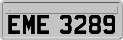 EME3289