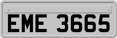 EME3665