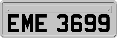 EME3699