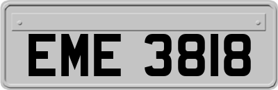 EME3818