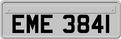 EME3841