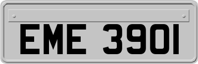 EME3901