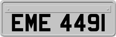 EME4491