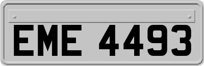 EME4493