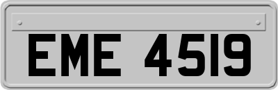 EME4519