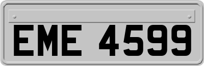 EME4599