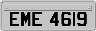 EME4619