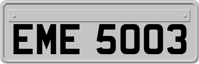 EME5003