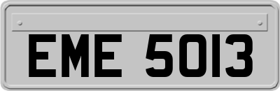 EME5013