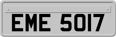 EME5017