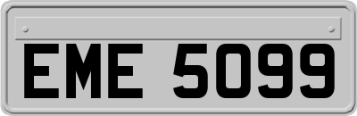 EME5099