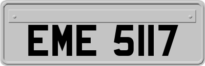 EME5117