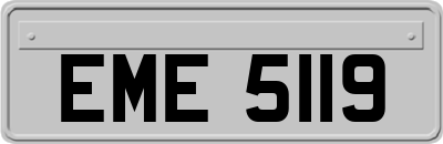 EME5119