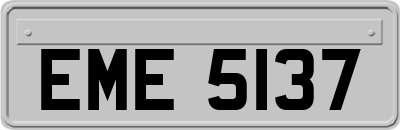 EME5137