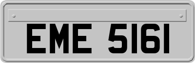 EME5161