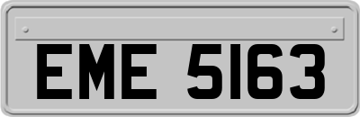 EME5163