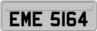 EME5164